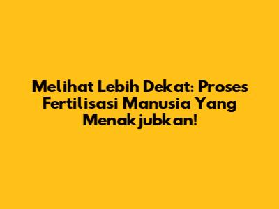Melihat Lebih Dekat: Proses Fertilisasi Manusia Yang Menakjubkan!