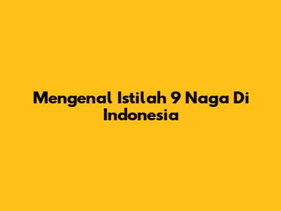 Mengenal Istilah 9 Naga Di Indonesia