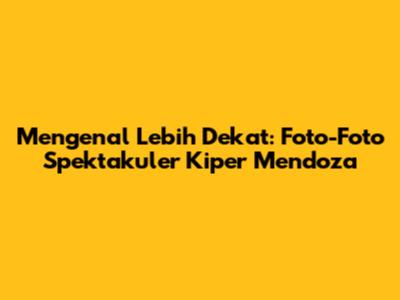 Mengenal Lebih Dekat: Foto-Foto Spektakuler Kiper Mendoza
