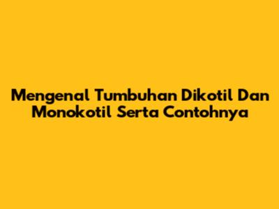 Mengenal Tumbuhan Dikotil Dan Monokotil Serta Contohnya