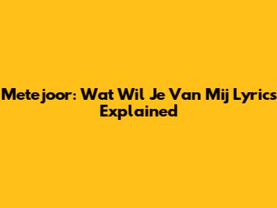 Metejoor: Wat Wil Je Van Mij Lyrics Explained