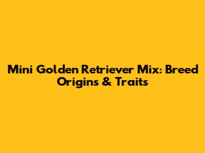Mini Golden Retriever Mix: Breed Origins & Traits