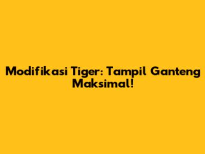Modifikasi Tiger: Tampil Ganteng Maksimal!