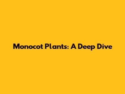 Monocot Plants: A Deep Dive