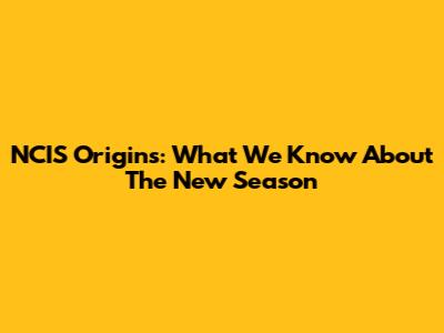 NCIS Origins: What We Know About The New Season