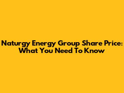 Naturgy Energy Group Share Price: What You Need To Know