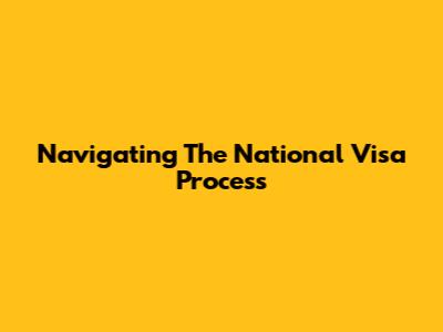 Navigating The National Visa Process