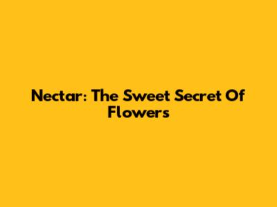 Nectar: The Sweet Secret Of Flowers