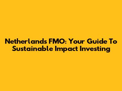 Netherlands FMO: Your Guide To Sustainable Impact Investing