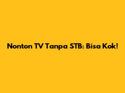 Nonton TV Tanpa STB: Bisa Kok!