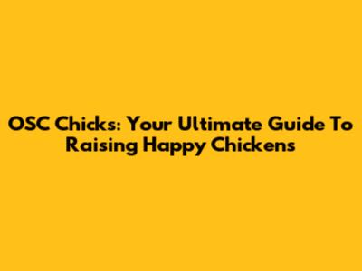 OSC Chicks: Your Ultimate Guide To Raising Happy Chickens