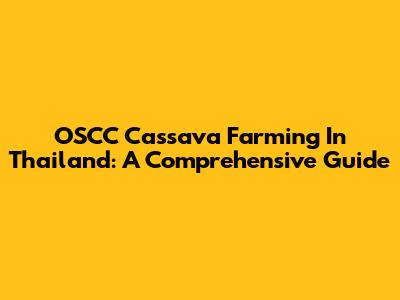 OSCC Cassava Farming In Thailand: A Comprehensive Guide