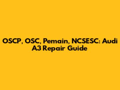 OSCP, OSC, Pemain, NCSESC: Audi A3 Repair Guide
