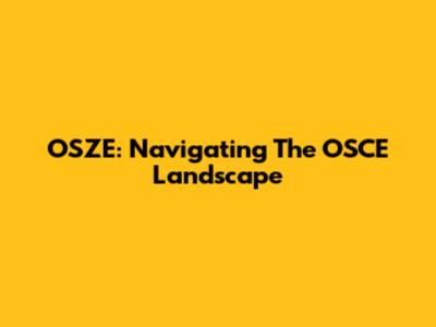 OSZE: Navigating The OSCE Landscape