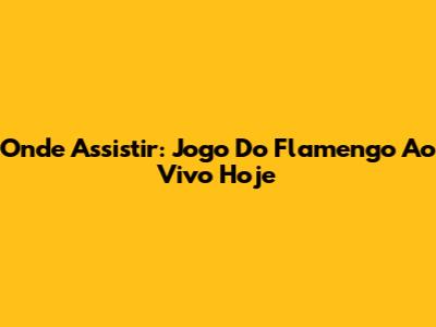 Onde Assistir: Jogo Do Flamengo Ao Vivo Hoje