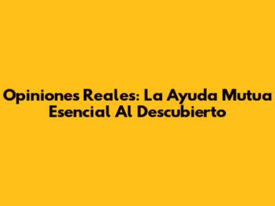 Opiniones Reales: La Ayuda Mutua Esencial Al Descubierto