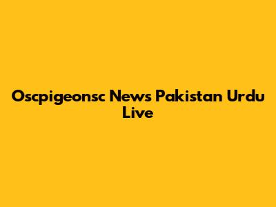 Oscpigeonsc News Pakistan Urdu Live