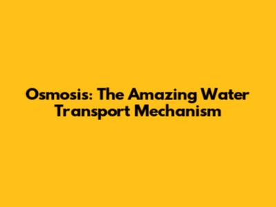 Osmosis: The Amazing Water Transport Mechanism