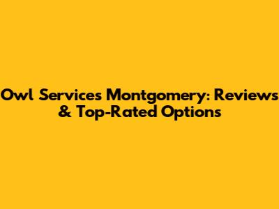 Owl Services Montgomery: Reviews & Top-Rated Options