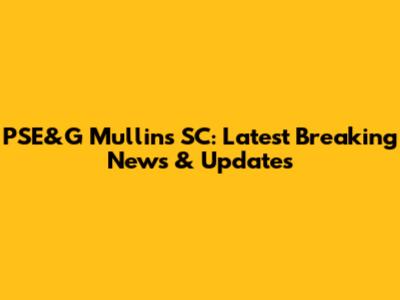 PSE&G Mullins SC: Latest Breaking News & Updates
