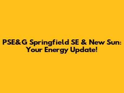 PSE&G Springfield SE & New Sun: Your Energy Update!