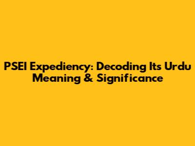PSEI Expediency: Decoding Its Urdu Meaning & Significance
