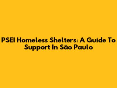 PSEI Homeless Shelters: A Guide To Support In São Paulo