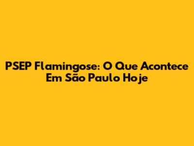 PSEP Flamingose: O Que Acontece Em São Paulo Hoje