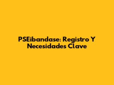 PSEibandase: Registro Y Necesidades Clave