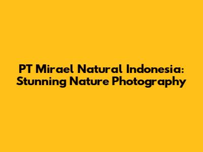 PT Mirael Natural Indonesia: Stunning Nature Photography