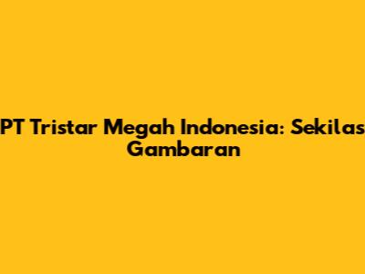 PT Tristar Megah Indonesia: Sekilas Gambaran