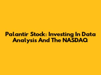 Palantir Stock: Investing In Data Analysis And The NASDAQ