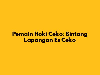 Pemain Hoki Ceko: Bintang Lapangan Es Ceko
