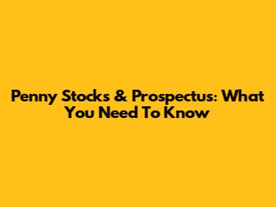 Penny Stocks & Prospectus: What You Need To Know