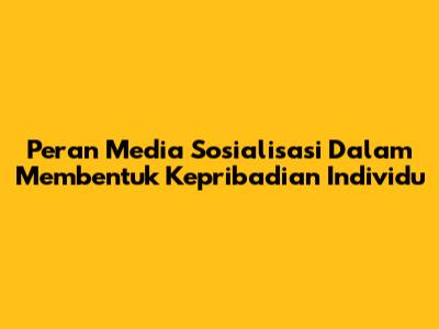 Peran Media Sosialisasi Dalam Membentuk Kepribadian Individu