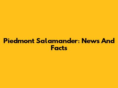 Piedmont Salamander: News And Facts