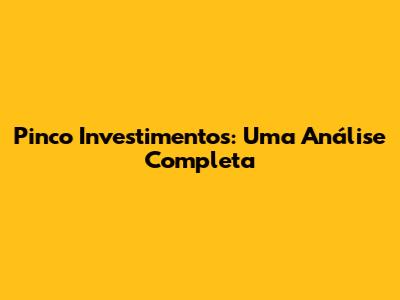 Pinco Investimentos: Uma Análise Completa