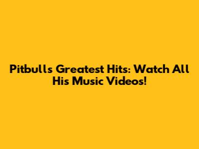 Pitbull's Greatest Hits: Watch All His Music Videos!