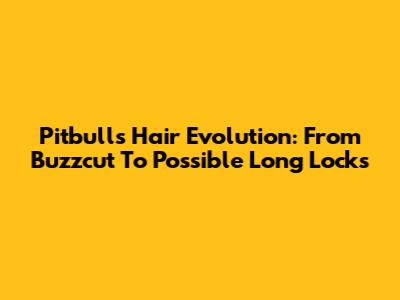 Pitbull's Hair Evolution: From Buzzcut To Possible Long Locks