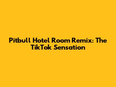 Pitbull Hotel Room Remix: The TikTok Sensation
