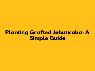 Planting Grafted Jabuticaba: A Simple Guide