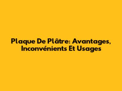 Plaque De Plâtre: Avantages, Inconvénients Et Usages