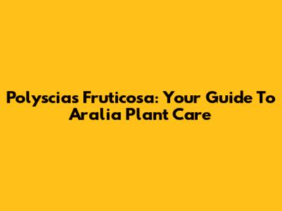 Polyscias Fruticosa: Your Guide To Aralia Plant Care