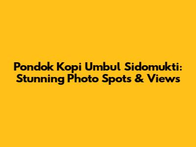 Pondok Kopi Umbul Sidomukti: Stunning Photo Spots & Views