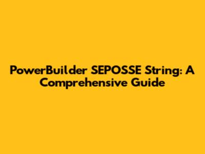PowerBuilder SEPOSSE String: A Comprehensive Guide
