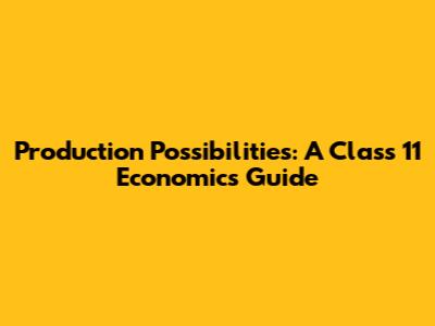 Production Possibilities: A Class 11 Economics Guide