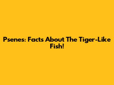 Psenes: Facts About The Tiger-Like Fish!