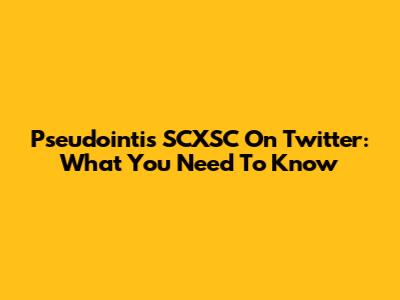 Pseudointis SCXSC On Twitter: What You Need To Know