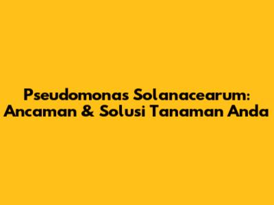 Pseudomonas Solanacearum: Ancaman & Solusi Tanaman Anda