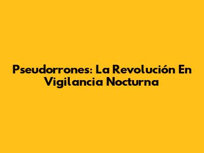Pseudorrones: La Revolución En Vigilancia Nocturna